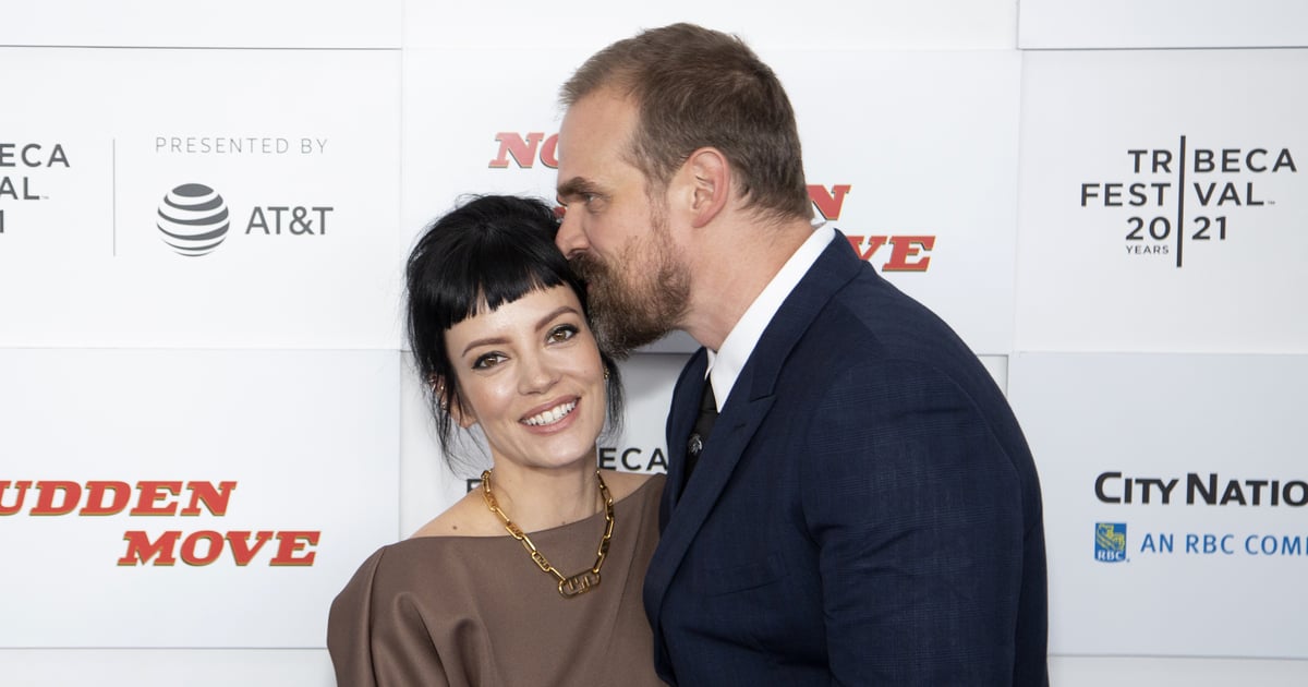 How “Stranger Things” Star David Harbour Fell in Love With Lily Allen