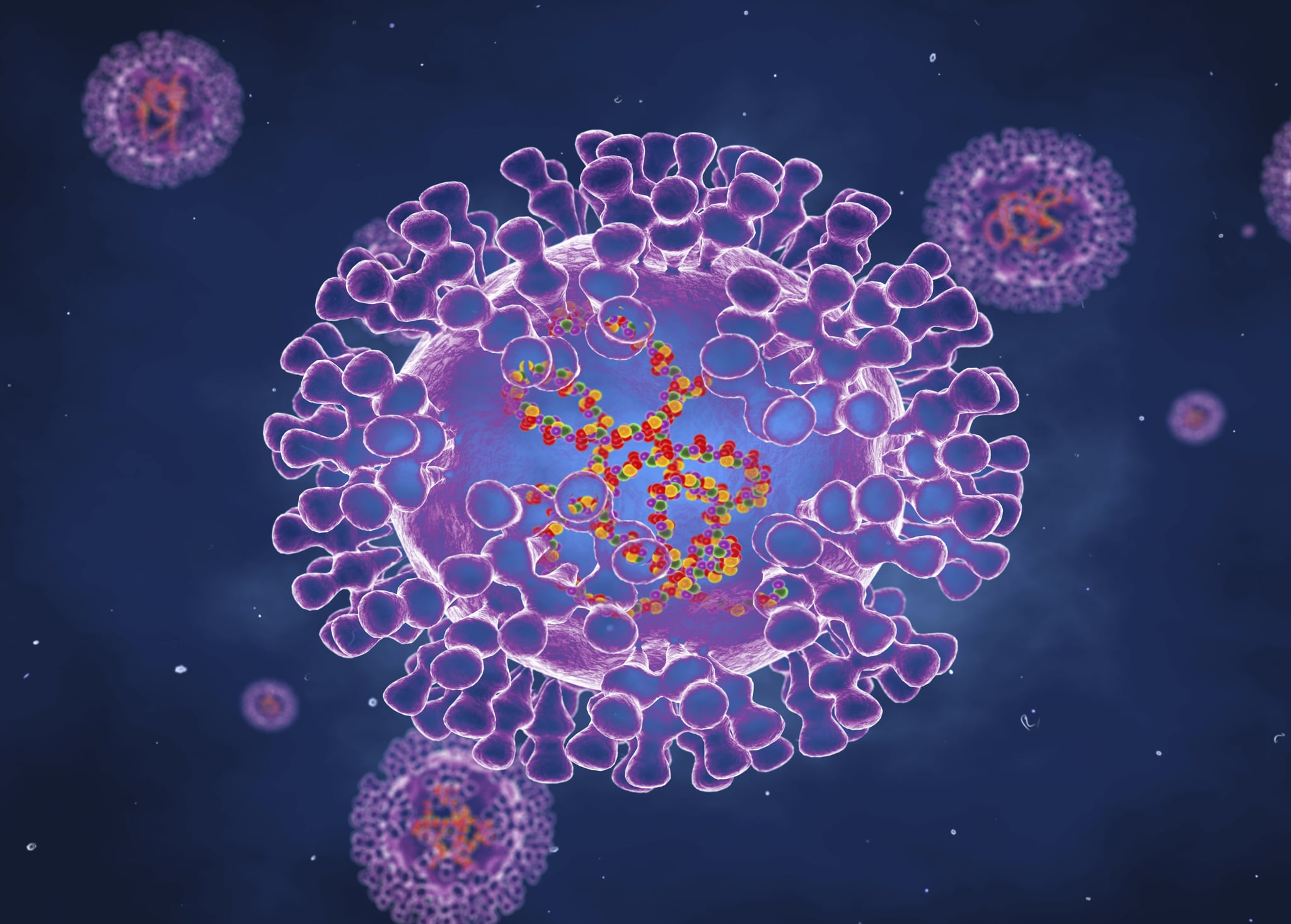 Pox virus, illustration. Pox viruses are oval shaped and have double-strand DNA. There are many types of Pox virus including Chickenpox, Monkeypox and Smallpox. Smallpox was eradicated in the 1970's. Infection occurs because of contact with contaminated animals or people and results in a rash or small bumps on the skin.